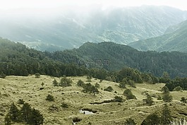 山,原野,森林
