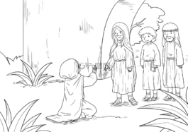 圣經(jīng),storying,ccx