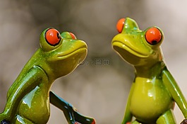 青蛙,滑稽,動物