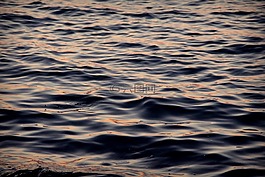 水,波,液體