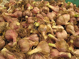食品,蔬菜,健康