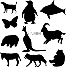 動物,熊,蝴蝶
