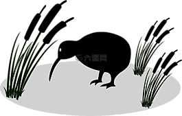 匿名,鳥,獼猴桃