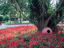 土耳其,交通圈,圣人