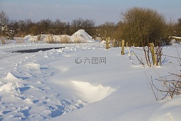 雪,冬天,冷