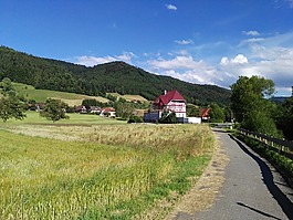 黑色的森林,gutach,景觀