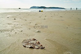 海灘,海洋,性質(zhì)