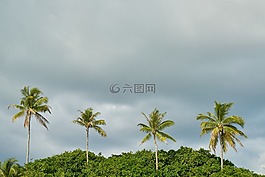 海灘,海洋,性質(zhì)