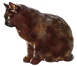 貓,黑貓,動物