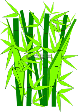 竹,植物,绿色