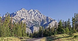 公路,山,路