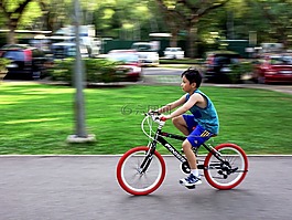 自行車,戶外,騎自行車