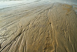 海滩,特里,太阳能