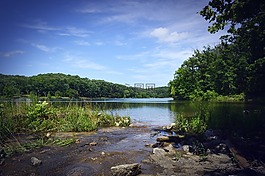 湖,湖景,查看