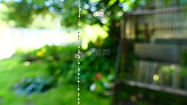 蜘蛛網(wǎng),水,滴