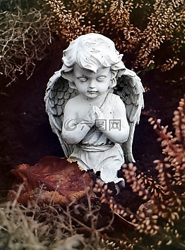 天使,祈禱,跪著