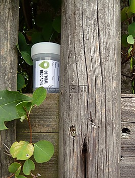 geocache,geocaching,高速緩存