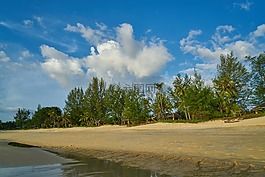 海灘,海洋,性質