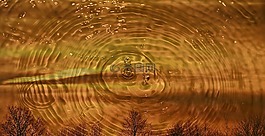 水,滴,世界