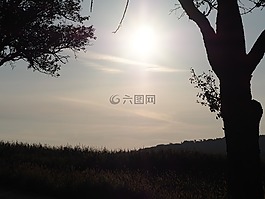 日出,森林,性質(zhì)