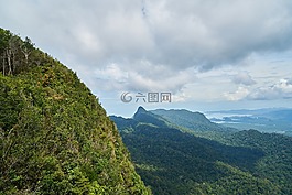 山,景觀,樹