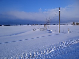 冬天,離,寒冬