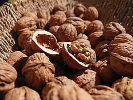 核桃,堅果,食品