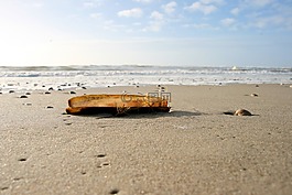外殼,海灘,沙