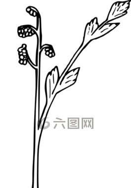花,植物,野生