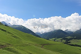 草原,風(fēng)景,新疆
