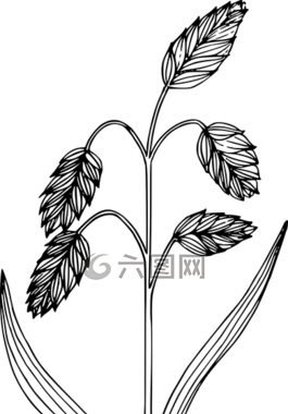 花,植物,野生