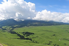草原,風(fēng)景,新疆