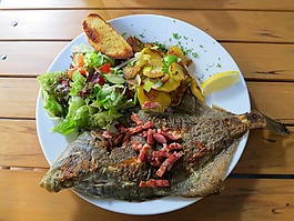 糖化歐萊,鰈魚,魚
