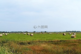 牧場,農(nóng)業(yè),干草