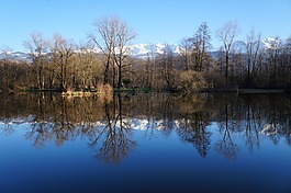 湖,景觀,鏡子