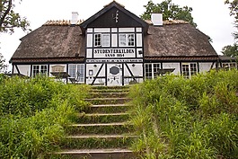 餐廳,studenterkilden,山