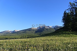 草原,雪山,風(fēng)景