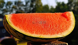 西瓜,瓜,小食