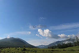 草原,風(fēng)景,新疆