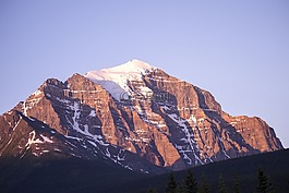 公路,山,樹
