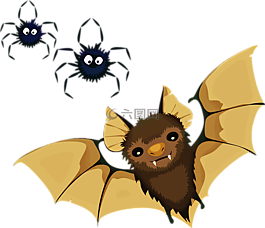 動物,蝙蝠,裝修