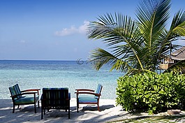 打破,海,木材