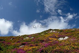 愛(ài)爾蘭,景觀,天空