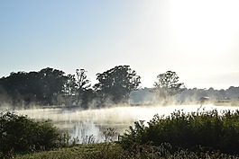 日出,國家,悉尼