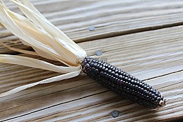 玉米,玻璃玉米,颜色