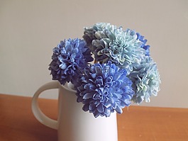 花,開花,盛開