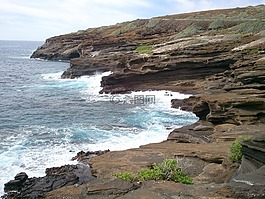 海洋,海岸線,海