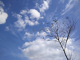 天空,說的,現(xiàn)實