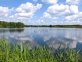 池塘,景觀,云