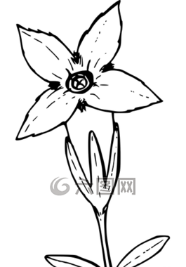 花,植物,野生
